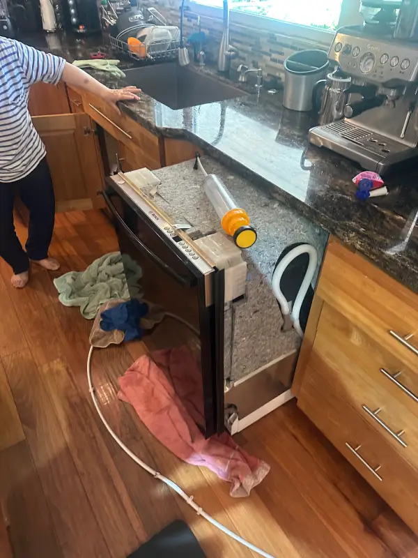 Dishwasher Repair