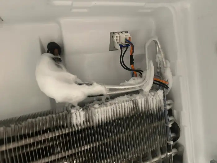 Freezer Repair